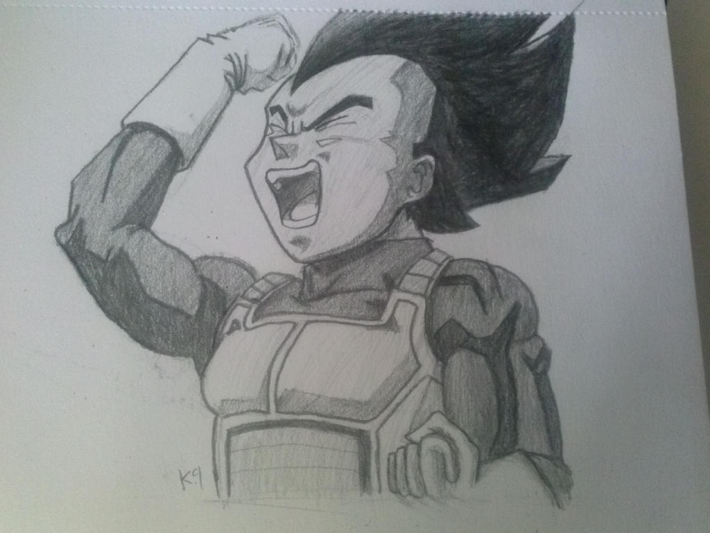 VEGETA bingo! by K9otaku on DeviantArt