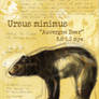 Ursus Minimus