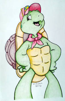 Requested  Franklin the Turtle