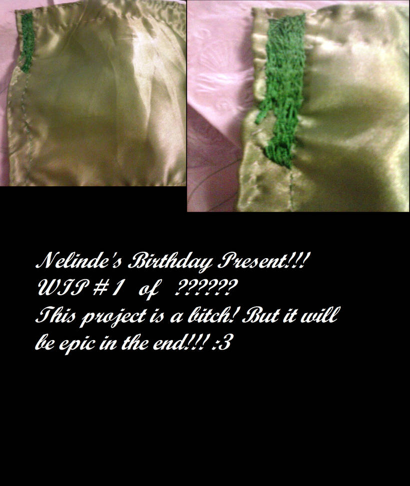 Nelinde's Birthday Present WIP # 1 of ??????? by ravinniaofcreed