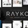 Rayko Multi Concept WordPress Theme
