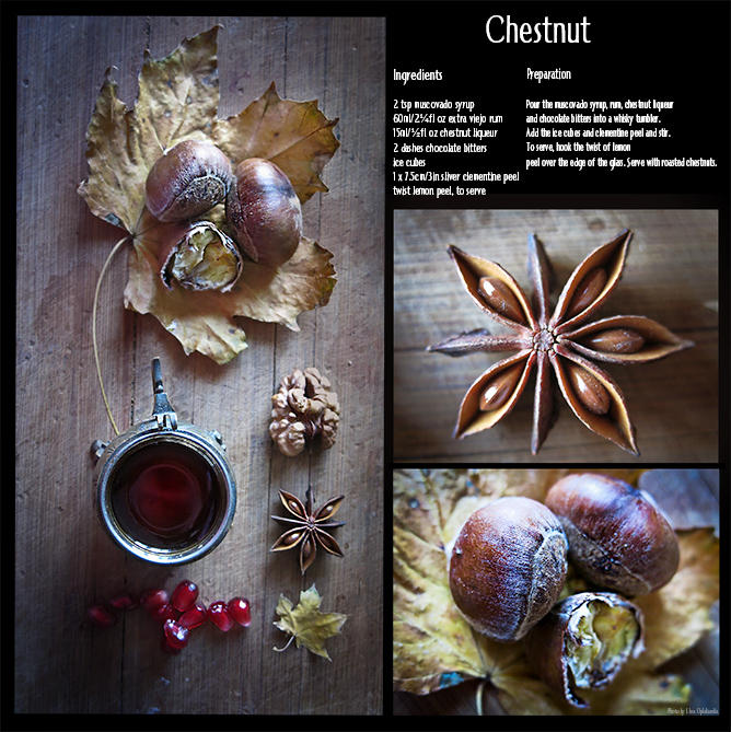 Chestnut by ElinasArt