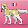 Dogtalia: France