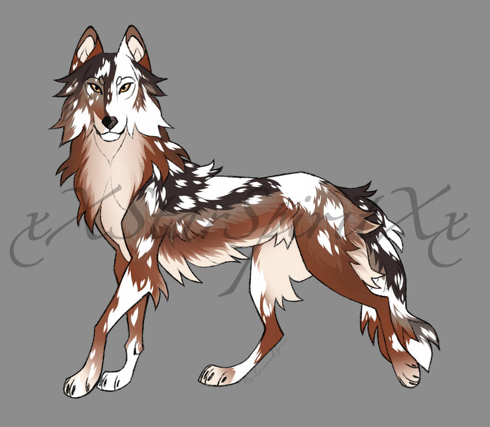 Custom Wolf Design by xXStarSpiritXx on DeviantArt