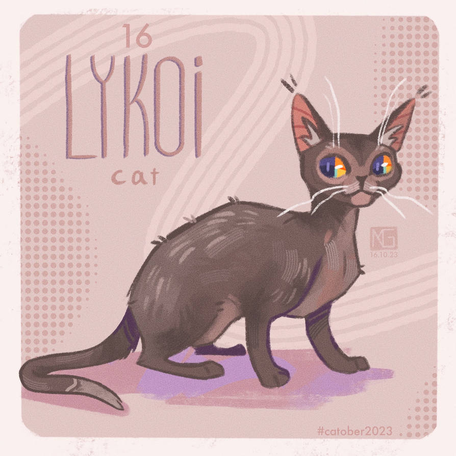 Project Lykoi Catober day 16 - lykoi cat by Lavapaws on DeviantArt