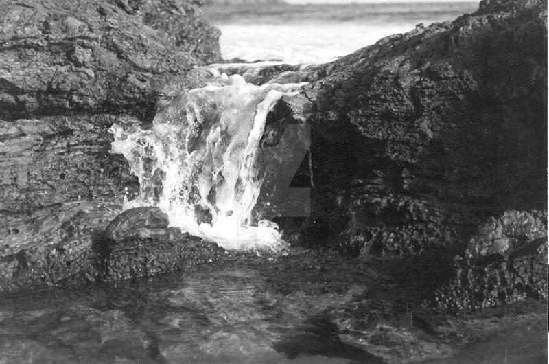 Tidal Pool