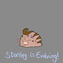 PTS - Stanley is EVOLVING! - Gif