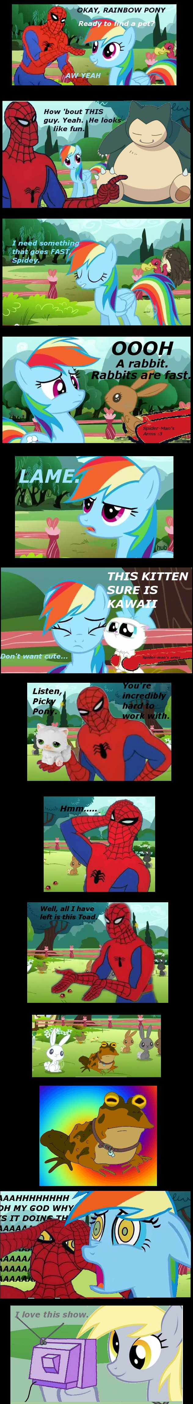 Spidey and Rainbow Find a Pet