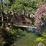 Golden valley in DaLat- Viet Nam