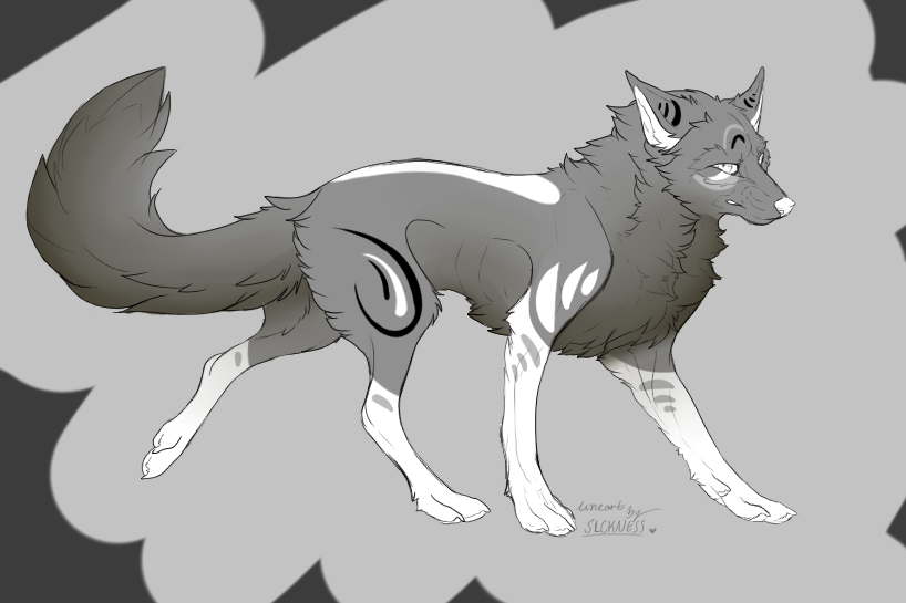 Gray Wolf Adopt (Closed)