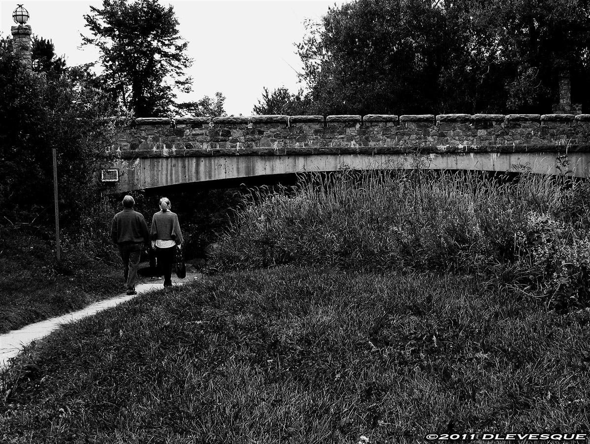 Study in bw...Lovers Lane