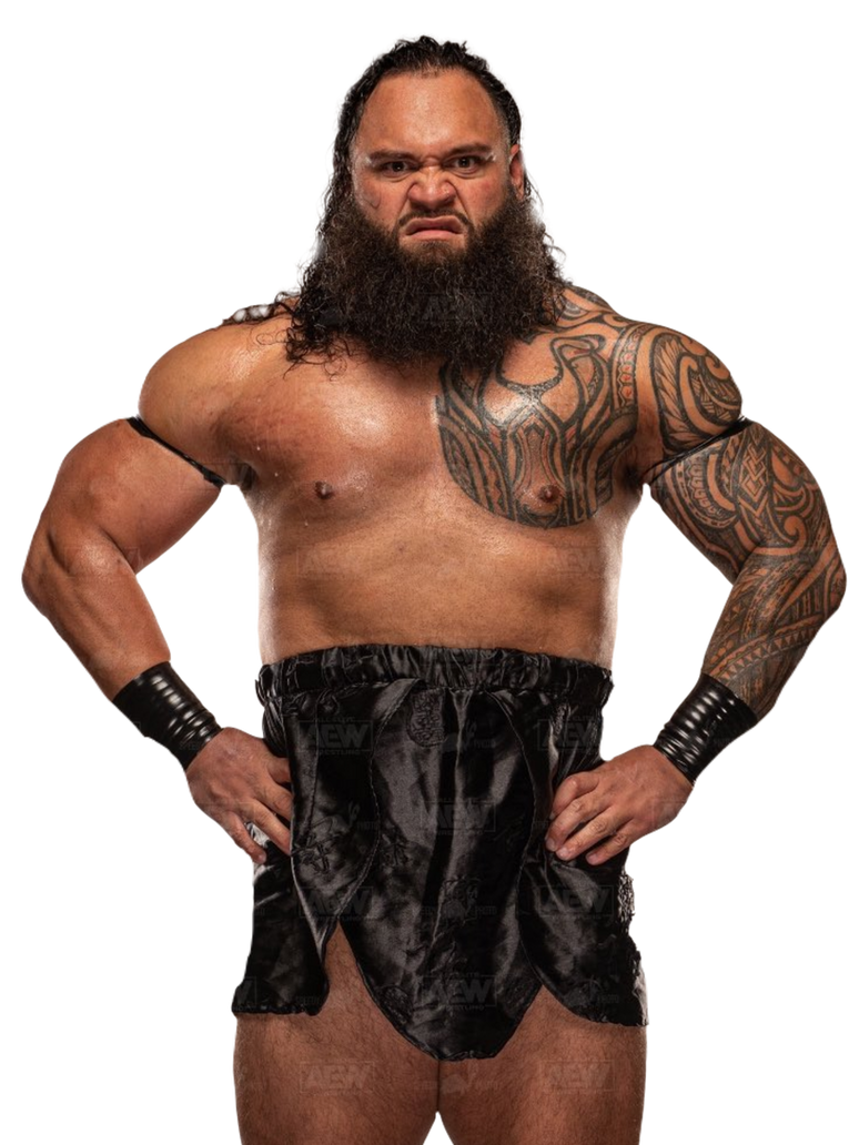 Toa Liona by lramos35 on DeviantArt