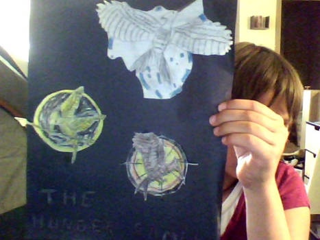 The hunger games poster
