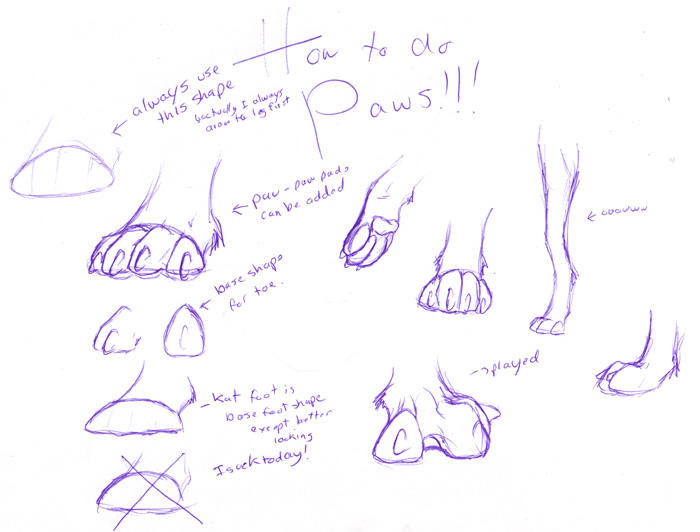 How to draw paws... by Kaashtian on DeviantArt