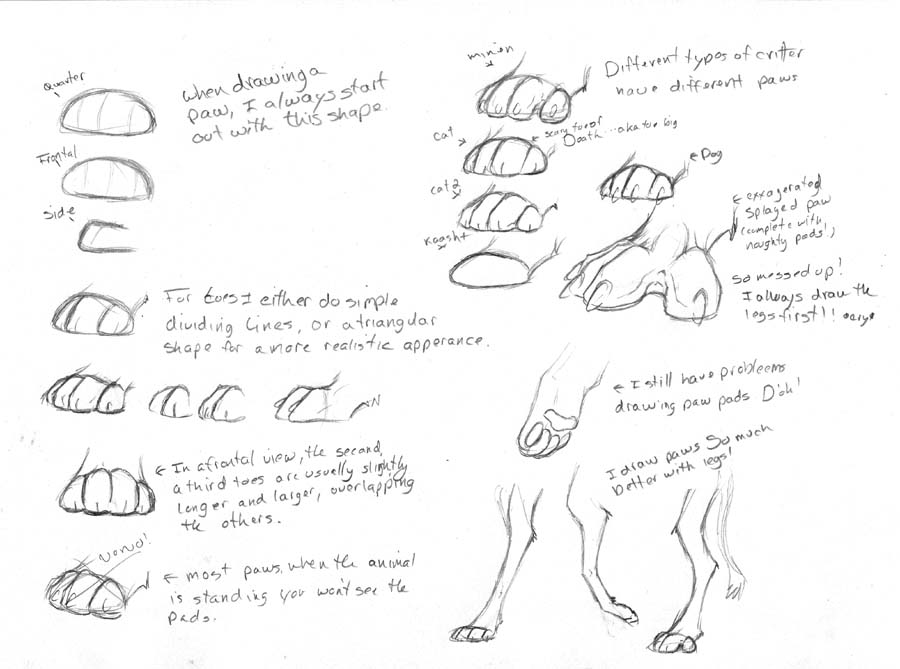 How to Draw Paws by Kaashtian on DeviantArt