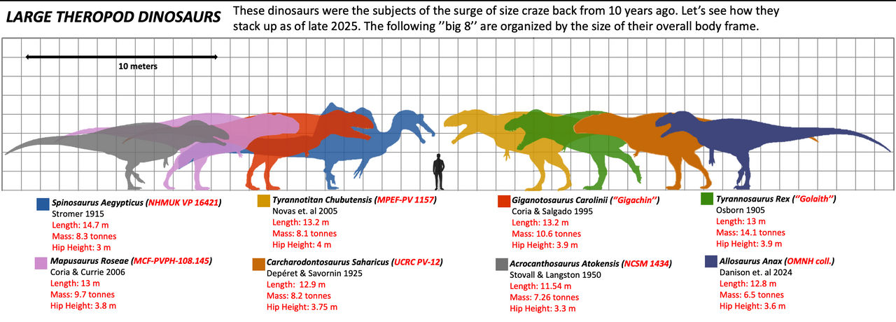Megapithecus Size Comparasin Dinosaur Size Comparison Hello There!: Massive New 65 Ton Dinosaur