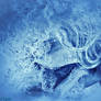 Arctic Freeze