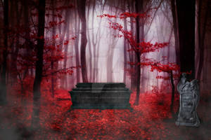 Haunted Forest Premade Background