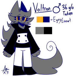 Voltron ref sheet