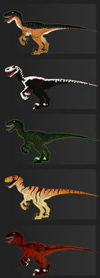 Raptor Adoptables 2 OPEN