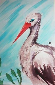 Watercolor stork