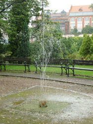 a fountain