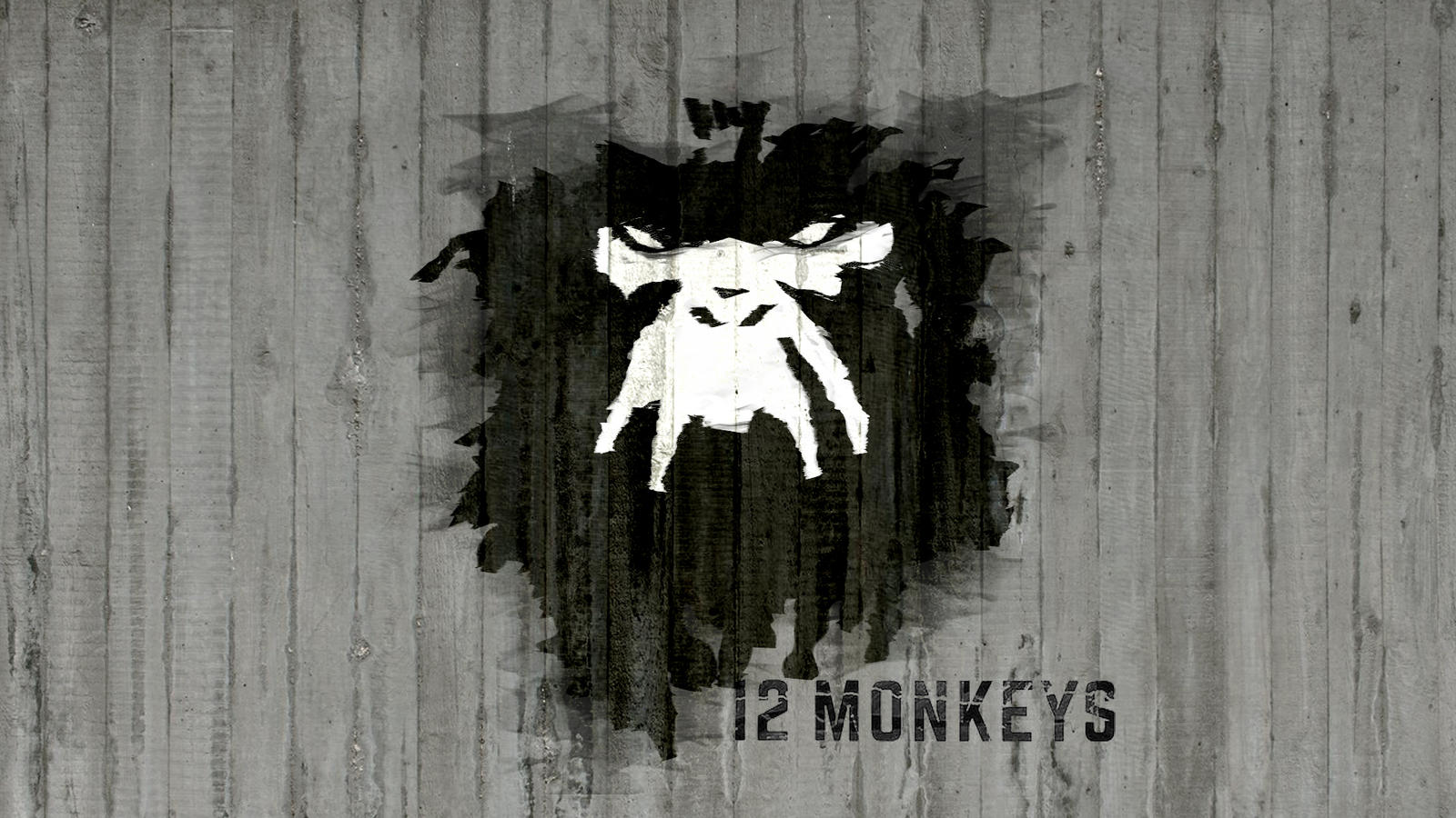 12 monkeys