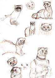 Magic Box_Fancy Animals Combo Sketch