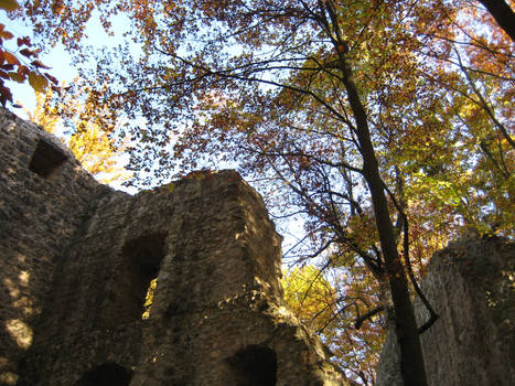 Ruin Rossstein 4