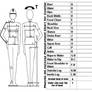 Measurment chart for costumes