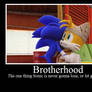 Brotherhood Meme