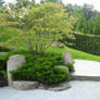 japanese garden II