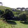 Hobbiton III