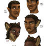 Matt Transitional Head Refs