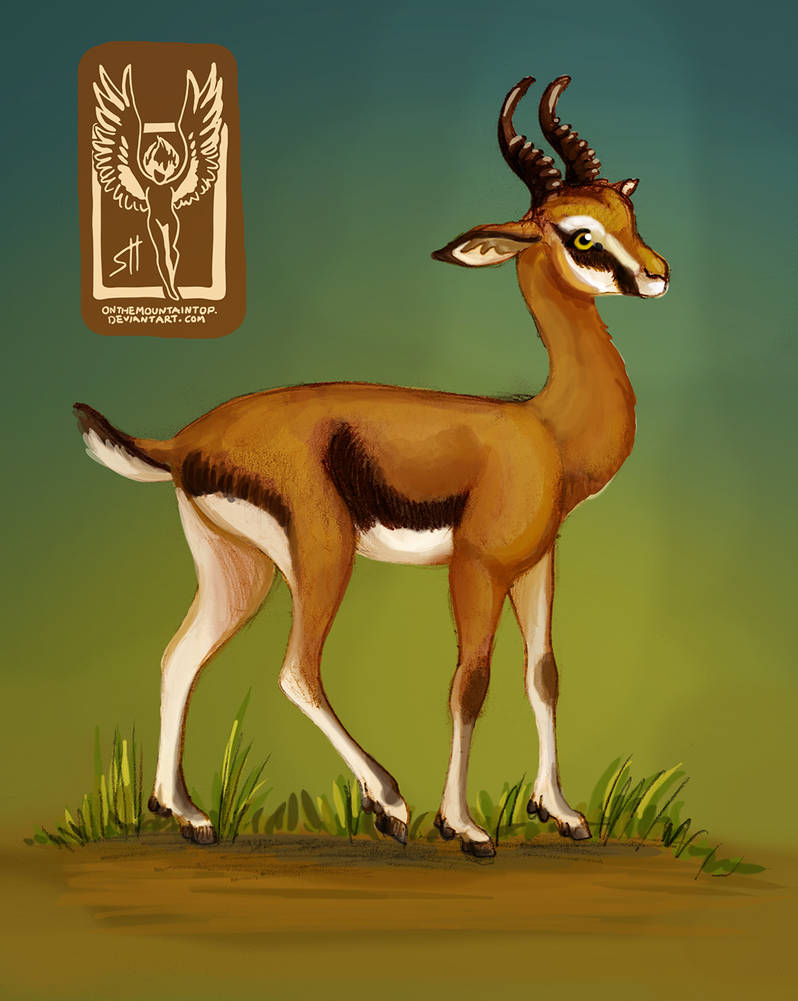 Dorcas Gazelle by OnTheMountainTop