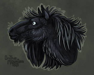 Raven Horse Head Doodle