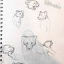 Lioness sketches