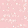 White Cherry Blossoms - Custom Box Background
