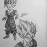 Goku and Gohan