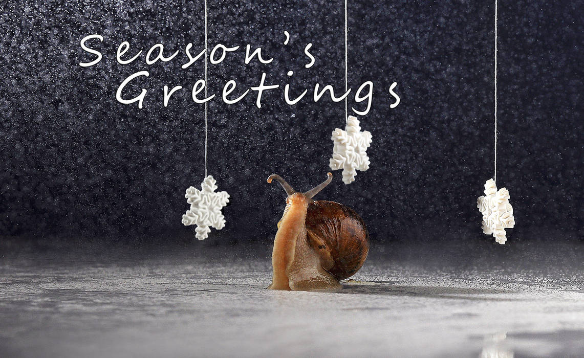 Season's greetings cards by WaterandSnails on DeviantArt