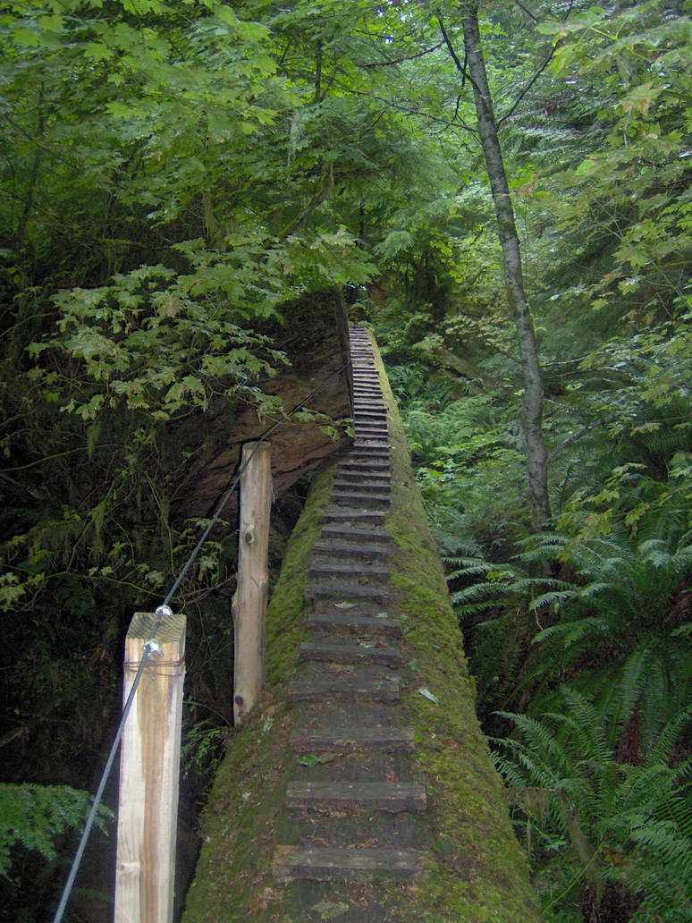 Bridge of Death by Pocky-Fuhrer on DeviantArt