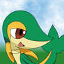 Snivy