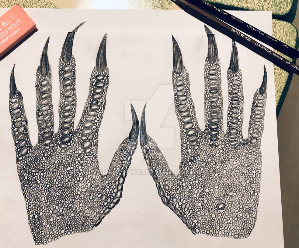 Reptile Hands by Shadow1601 on DeviantArt