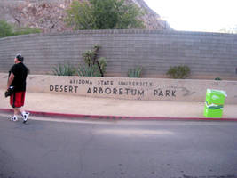 ASU's Desert Arboretum Park