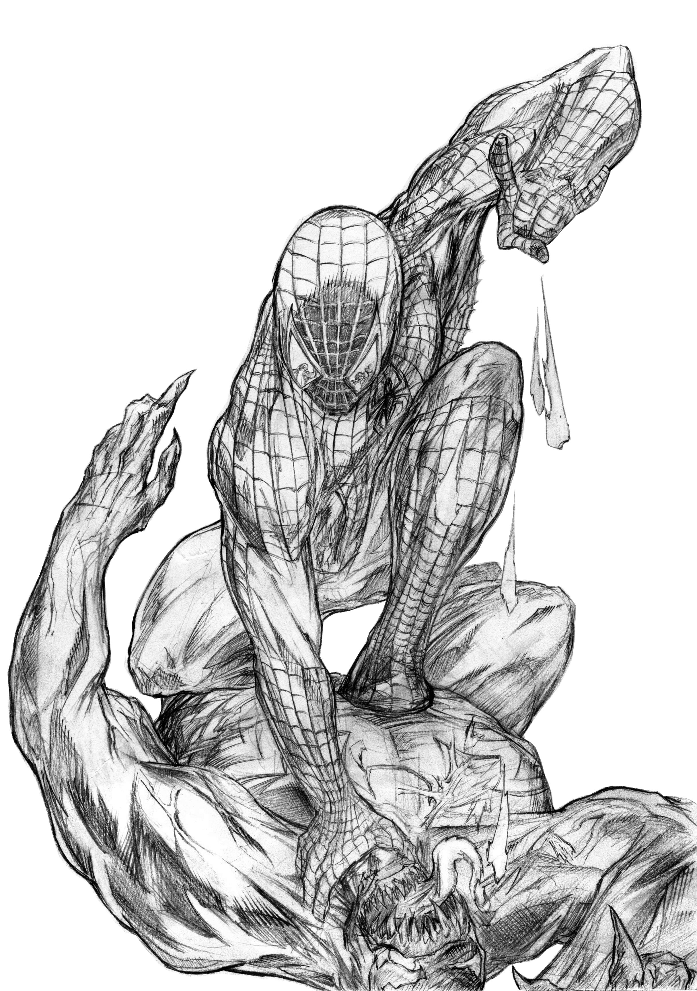 660 Collections Spiderman Venom Coloring Pages Printable  Latest