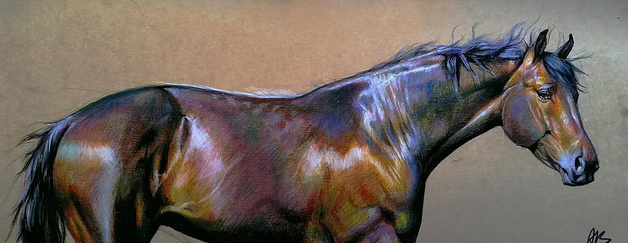 Написал лошадки. Портрет лошади. Картина лошади. Фотопортрет лошади. Лошадь живопись морда.