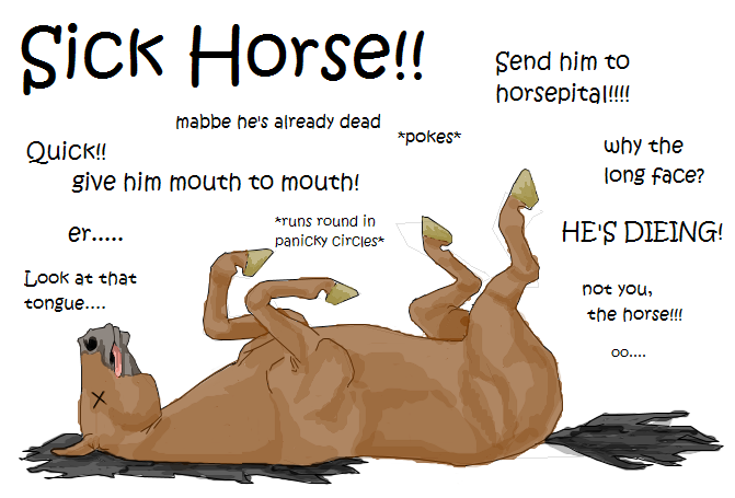 Horse puns aglore...