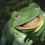 Happy Frog