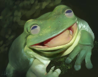 Happy Frog