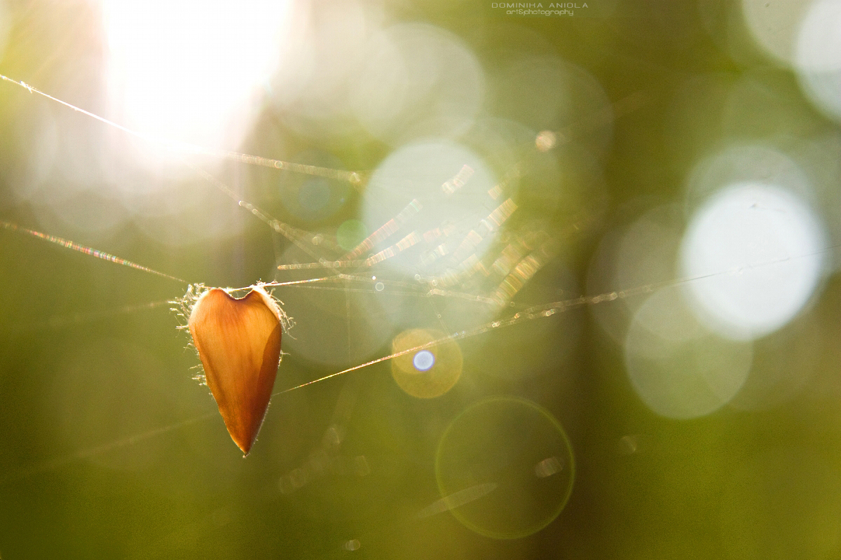 Hanging